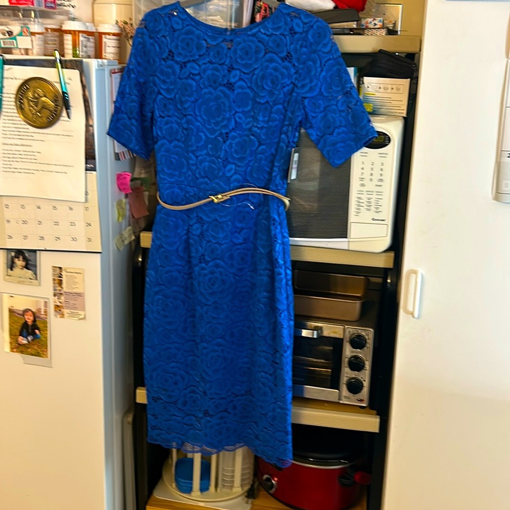 Ellen Tracy blue 3/4 sleeve lace dress